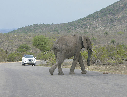 Autohuur in Zuid-Afrika | Impala Tours