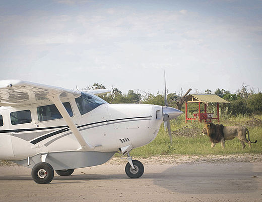 Fly-in Safari in Botswana | Impala Tours
