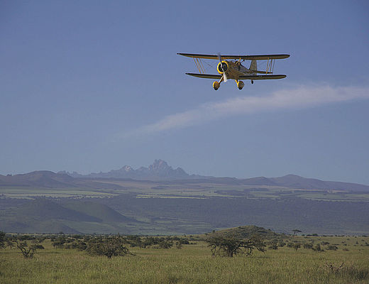 Fly-In safari in Kenia | Impala Tours