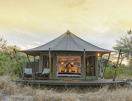 Onguma Safari Camps | Impala Tours