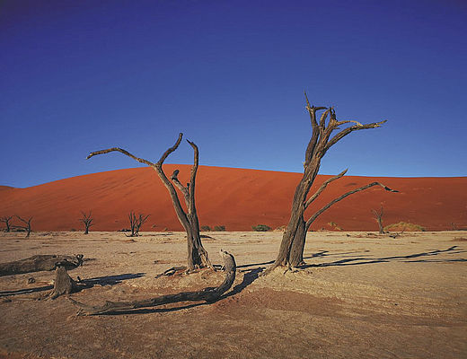 Zuiden van Namibie | Impala Tours