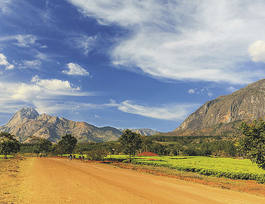Bergen, safari, strand en couleur locale | Impala Tours