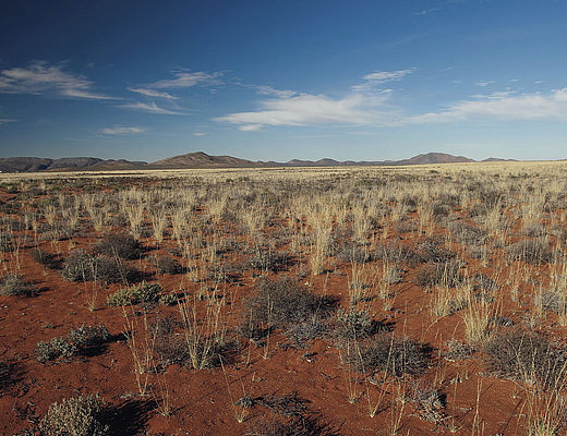 Northern Cape | Impala Tours