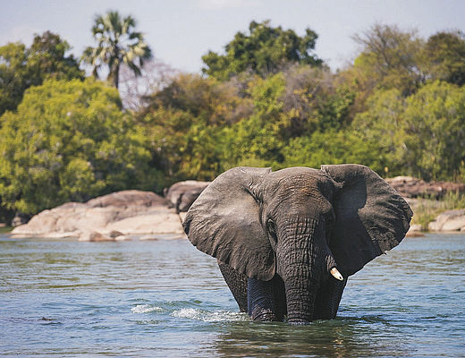 Rondreizen Zambia | Impala Tours