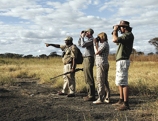 In het spoor van het wild | Impala Tours