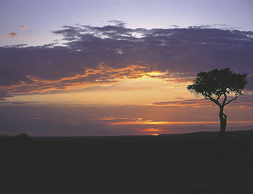 Kenia intensief | Impala Tours