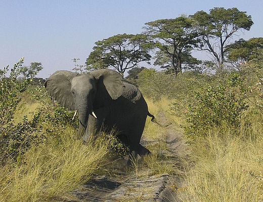 Mudumu National Park | Vakantie Namibië