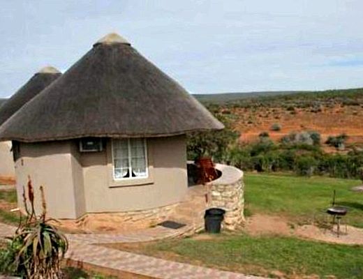 Addo Rest Camp | Impala Tours
