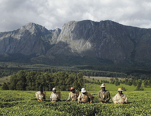 Individuele maatwerkreizen in Malawi | Impala Tours