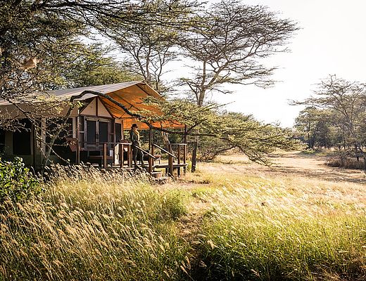 Sanctuary Kusini | Impala Tours