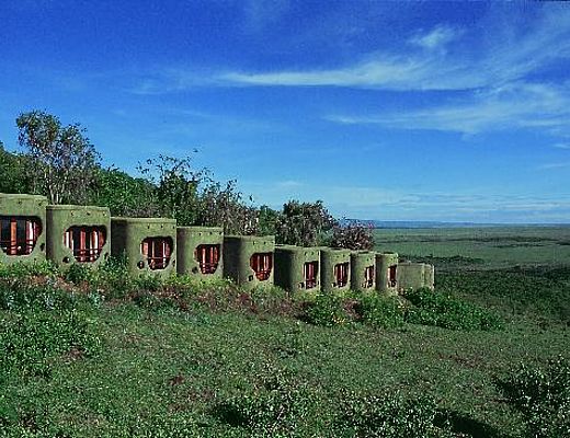 Mara Serena Lodge | Impala Tours