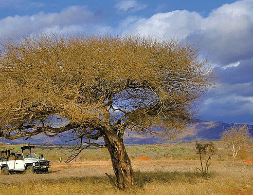 Groepsreizen Kenia | Impala Tours