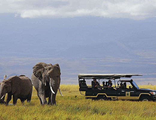 Big Five in stijl | Impala Tours