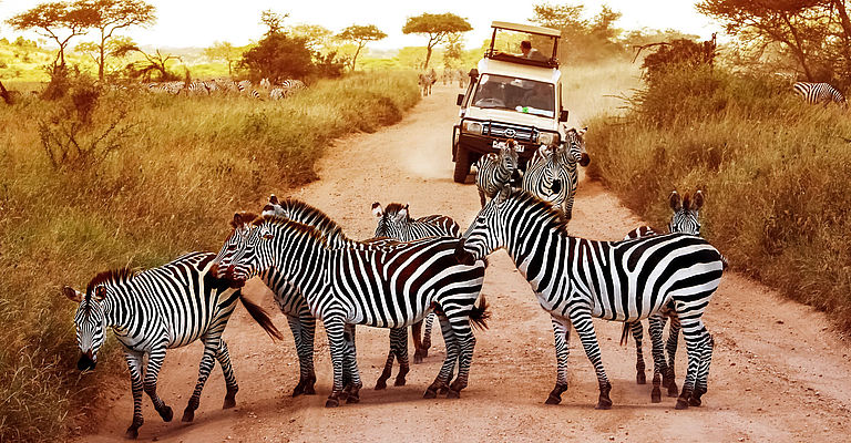Vakantie Tanzania