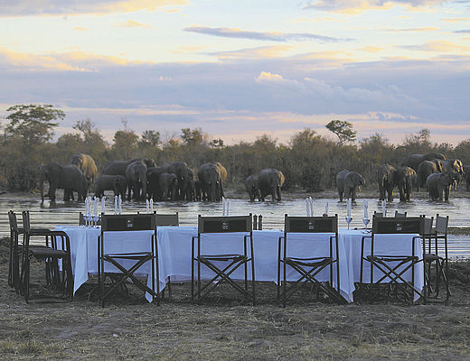 Vliegsafari`s in Zimbabwe | Impala Tours