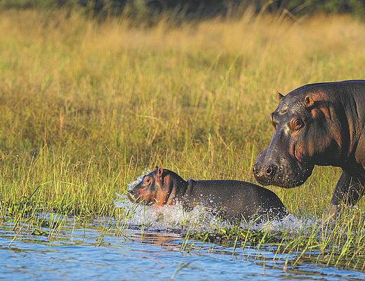 Vakantie Malawi | Impala Tours