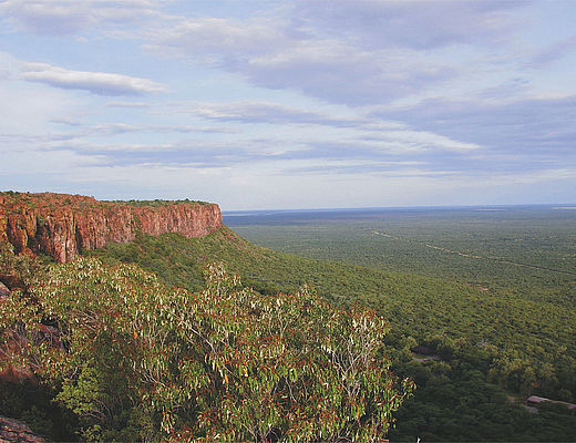 Waterberg in Namibië | rondreizen in Namibië