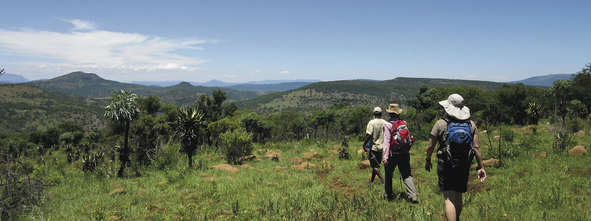 Groepsreizen In Zuid-Afrika | Impala Tours