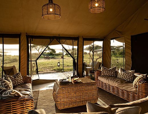 Serengeti Sojourn | Impala Tours