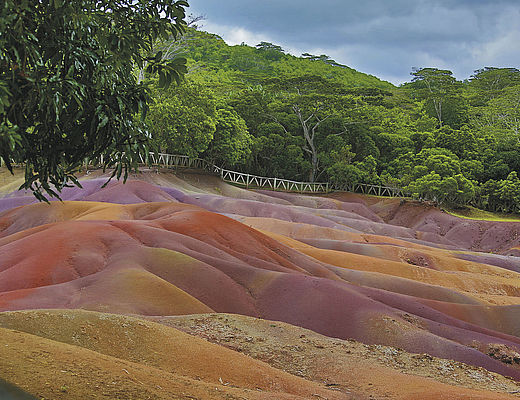 Kleurrijk Mauritius | Impala Tours