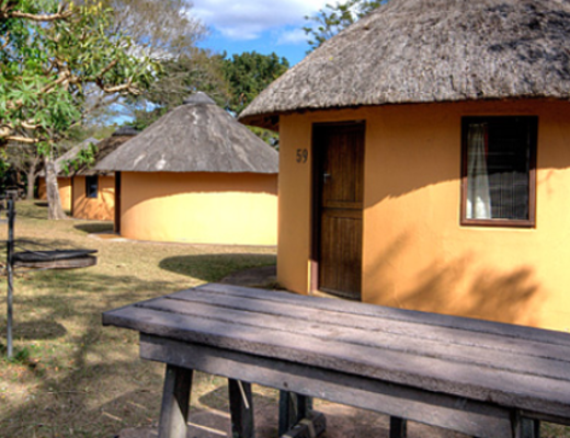 Hilltop Camp | Impala Tours